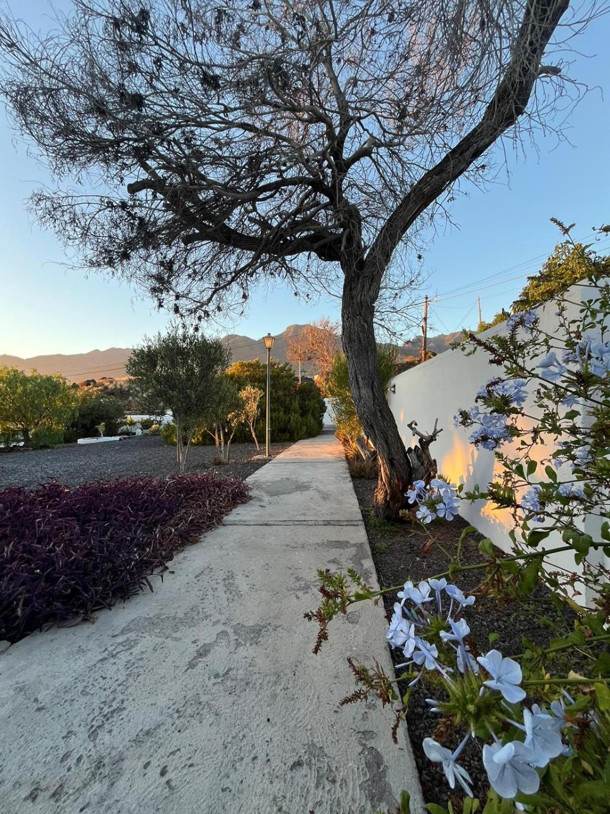 Apartmán Cráter 1 El Paso Exteriér fotografie